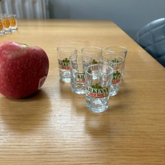 6 Mini Kilkenny Glasses.