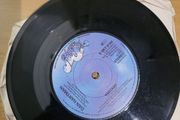 Dan Hartman Relight My Fire 7 inch Vinyl 1979 Blue Sky