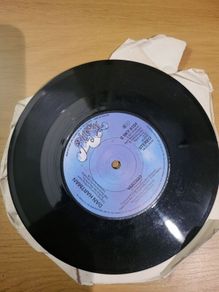 Dan Hartman Relight My Fire 7 inch Vinyl 1979 Blue Sky