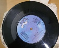 Dan Hartman Relight My Fire 7 inch Vinyl 1979 Blue Sky