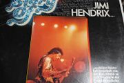 Jimi Hendrix, The Story of Jimi Hendrix G/F Double LP German