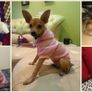 NEW dog/cat winter hoodies in SMALL & LARGE sizes Image 5