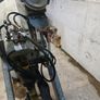 Cross Agitator Image 2