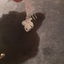 cute cow earrings Image 3