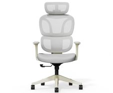 Flexispot Ergonomic Chair (MINT - NEW - unpacked and reboxed, never used)