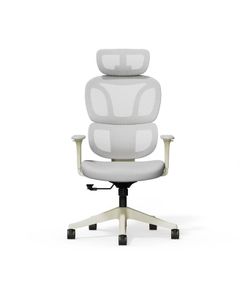 Flexispot Ergonomic Chair (MINT - NEW - unpacked and reboxed, never used)