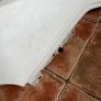 Fiat 500 wing Image 5