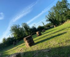 Square bales