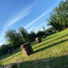 Square bales
