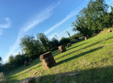Square bales