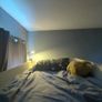 Ikea Smastad Loft Bed Image 3