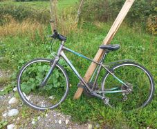 Giant Escape bike