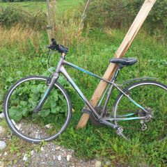 Giant Escape bike