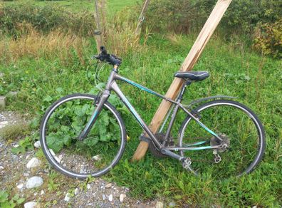 Giant Escape bike