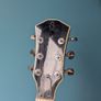 Sire H7 Larry Carlton Image 4