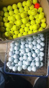 Jj's Cork Golf Balls - Seed Sale