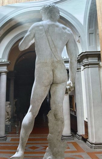 Michelangelo DAVID published by Giunt