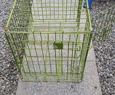 dog cage