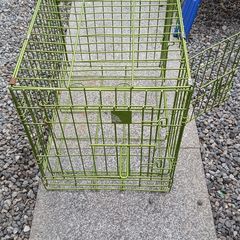 dog cage