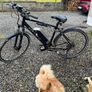 Electric Bike Image 6