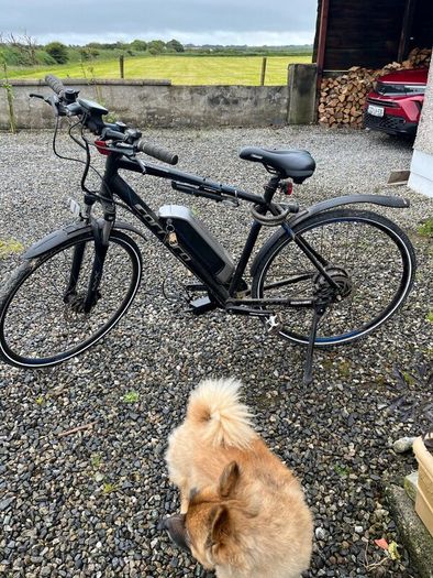 Electric Bike