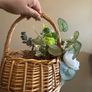 wedding basket Image 2