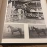 Showjumping Legends : Ireland, 1868-1998 Image 6