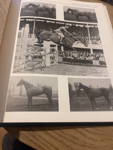 Showjumping Legends : Ireland, 1868-1998