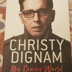 My Crazy World by Christy Dignam