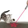 Interactive 7 in 1 LED Light Pointer Cat Dog Toy - USB Rechargeable with Black Premium Storage Box (FREE POSTAGE) Image 4