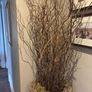 Very tall rattan planter with contorted willow Image 6