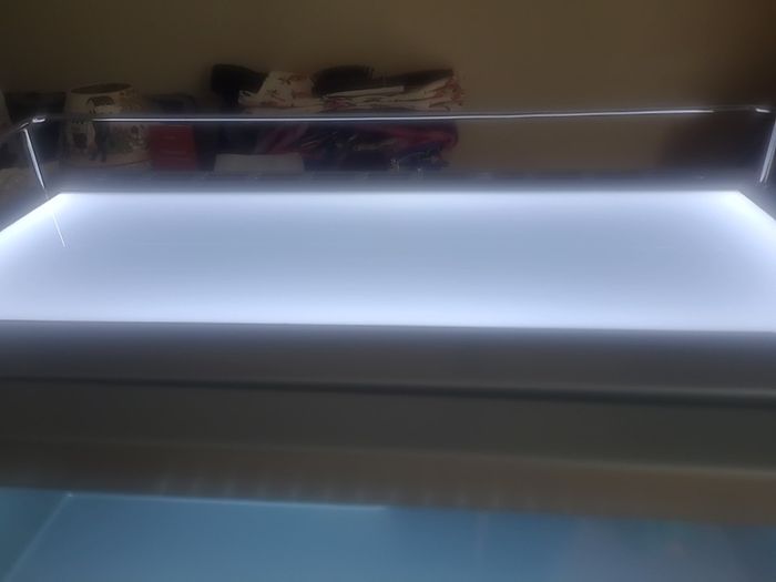 red bull fridge