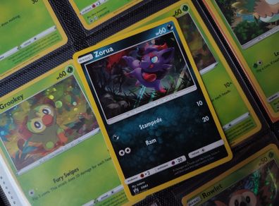 Zorua ! Sun & Moon Promo ! 2017 ! Pokemon !