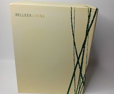 Belleek Large China Vase - Belleek Willows Vase - New In Box Rare Design