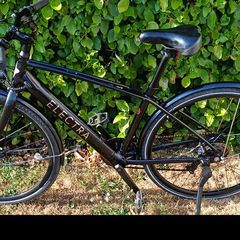Electric bike