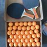 Reaction Training Set with Flexible Target 2 Paddle Bats Complete Set Image 2