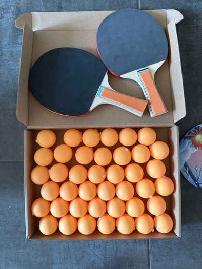 Reaction Training Set with Flexible Target 2 Paddle Bats Complete Set