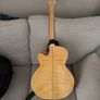 takamine g series Image 3