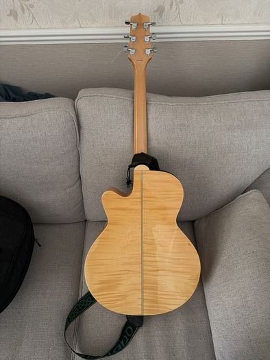 takamine g series