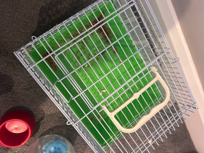 Hamster starter kit