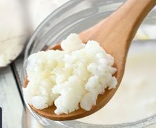 Organic Milk Kefir Grains