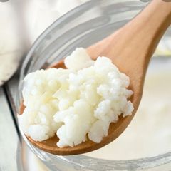 Organic Milk Kefir Grains