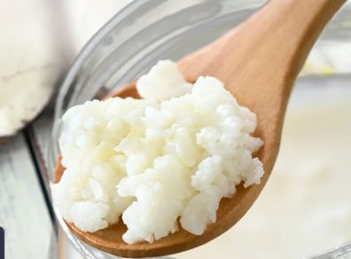 Organic Milk Kefir Grains