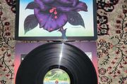 Thin Lizzy: black rose LP