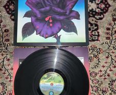 Thin Lizzy: black rose LP