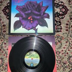 Thin Lizzy: black rose LP