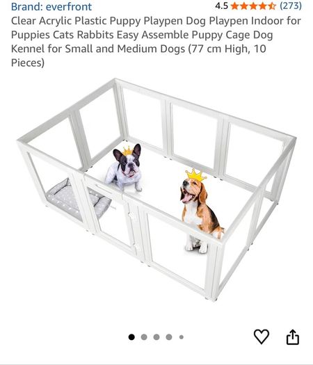 Indoor kennel