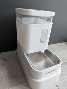 Pet water dispenser