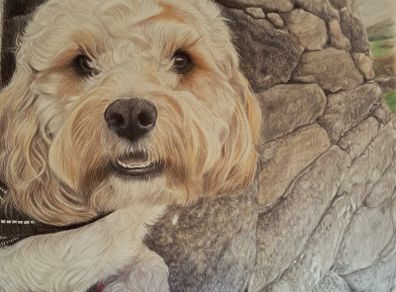 pet