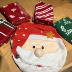 4 Guest Towels & Toilet Cover